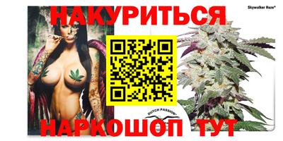 прущие грибы Севастополь