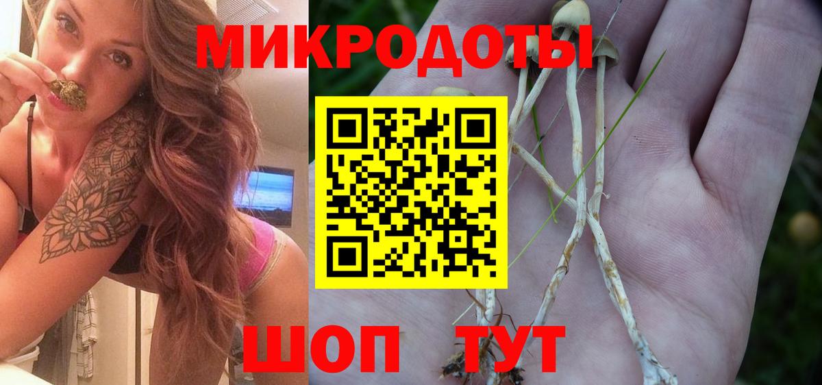 Псилоцибиновые грибы прущие грибы Урюпинск